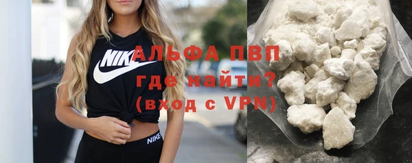 трава Белокуриха
