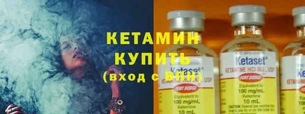 прущие грибы Балахна