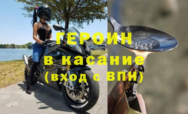 трава Белокуриха