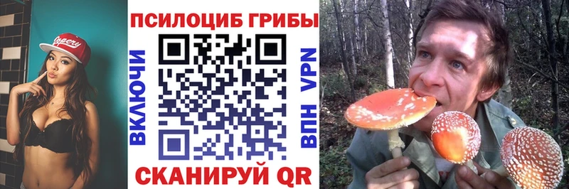 Галлюциногенные грибы MAGIC MUSHROOMS  купить наркотик  Лобня 